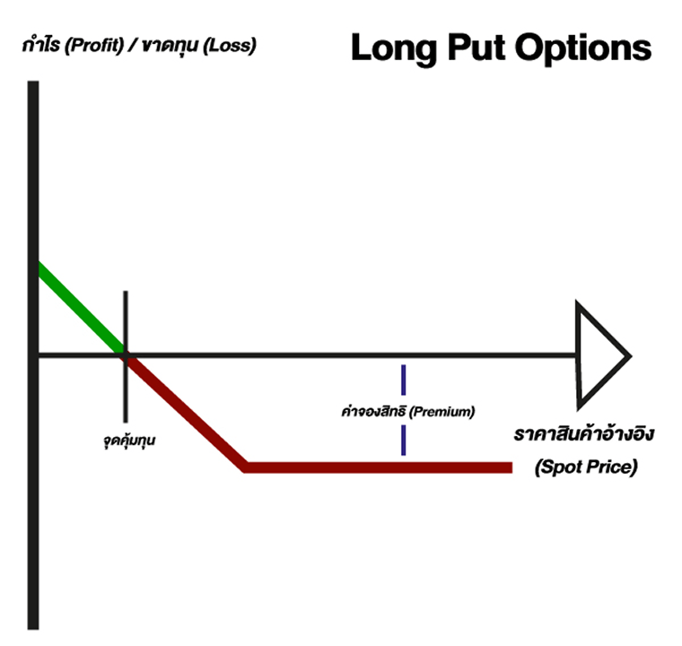 Long Put